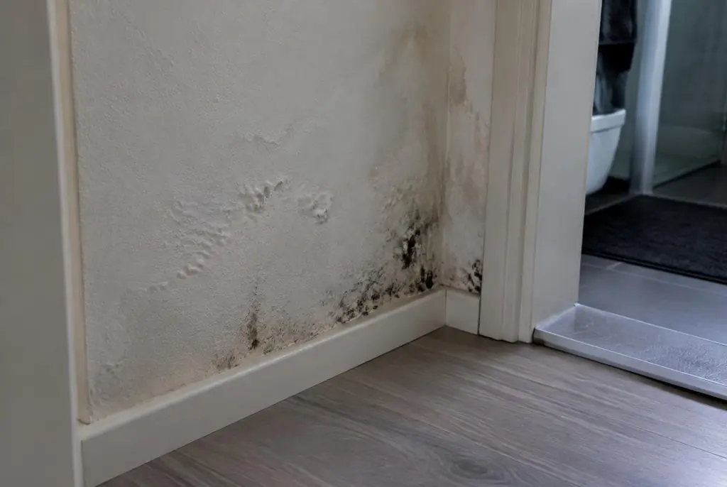 Lekdetectie Huizen – vochtplek met schimmel op een muur